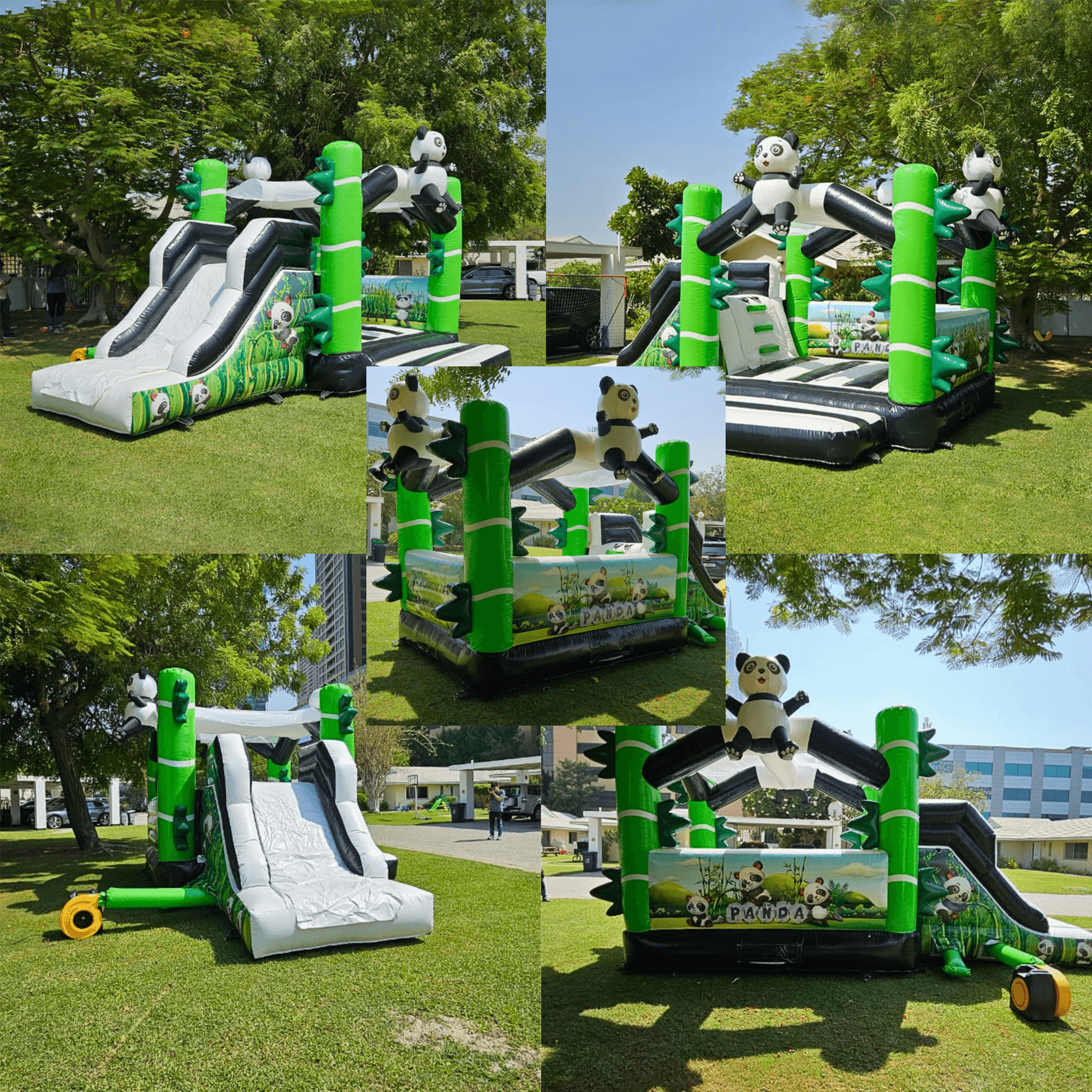 Panda Bouncy